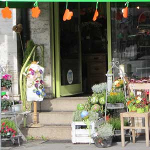 Einrichten & Wohnen - Die mobile Einrichtungs- und Wohnberatung: Geschäftsraumgestaltung Blumengeschäft